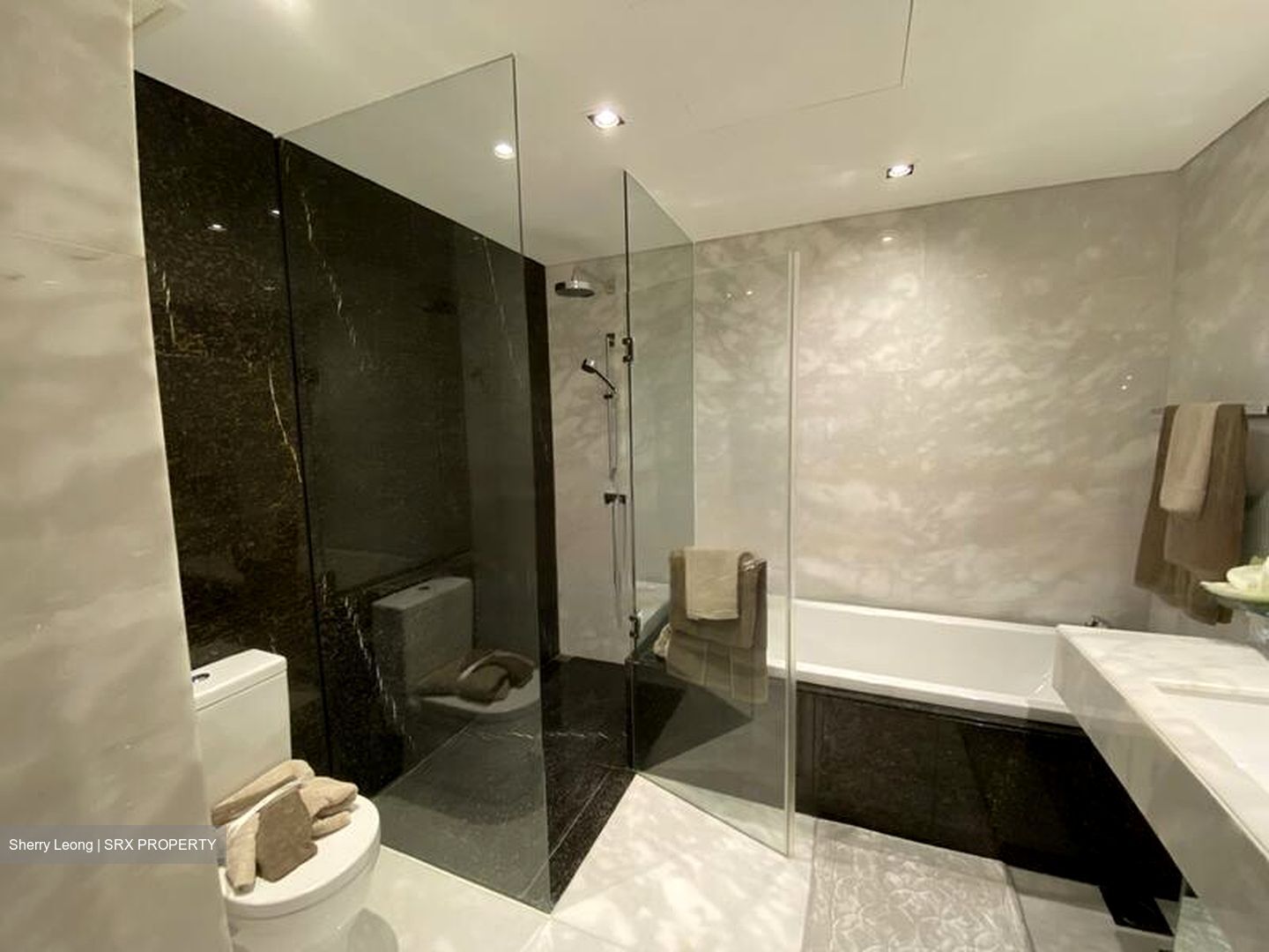 St. Regis Residences (D10), Apartment #480627231